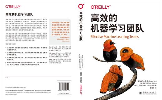高效的机器学习团队 商品图2