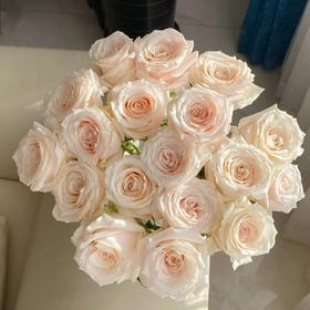 国产单头玫瑰花双鱼座10支