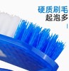 【JL】椭圆板刷 商品缩略图1