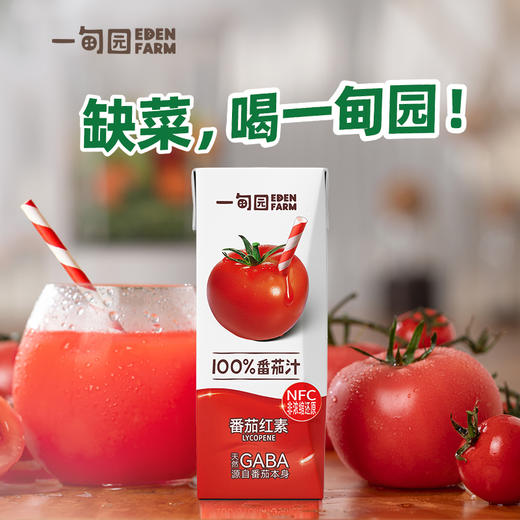 一甸园纯蔬菜汁/番茄汁 200ml*10盒 商品图4