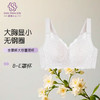 【拍2件139】雪络全罩杯文胸. 商品缩略图3