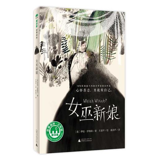 【图书】伊娃·伊博森幻想文学经典系列 | 激发批判思维，提升写作里，小学3-6年级 商品图3