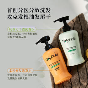 章小蕙推荐！GOTUKOLA狗头考拉洗发水 丰盈蓬松柔顺改善毛躁干枯