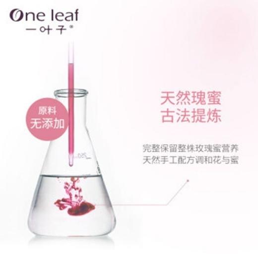一叶子樱花瑰蜜粉润洁面乳100g 效期26年9月外包装轻微挤压  深层清洁亮肤水洗面奶男女护肤品 商品图5