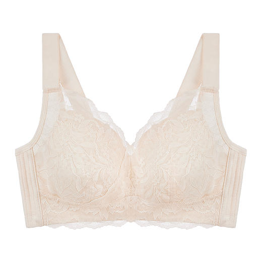 【拍2件139】雪络全罩杯文胸. 商品图8