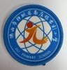 通版佛山市禅城区南庄镇吉利小学包边校徽姓名贴章可缝烫现货发51 商品缩略图0