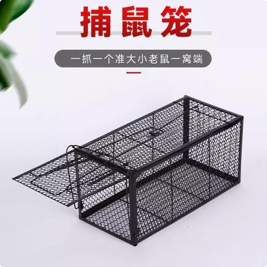 【JL】铁质老鼠笼23*11.5*11.5 商品图1