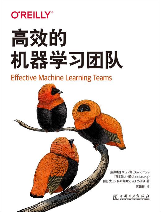 高效的机器学习团队 商品图1