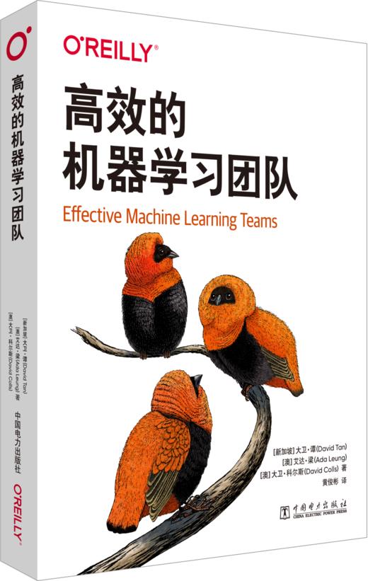 高效的机器学习团队 商品图0