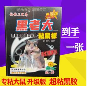 【JL】黑老大 带外壳粘鼠板