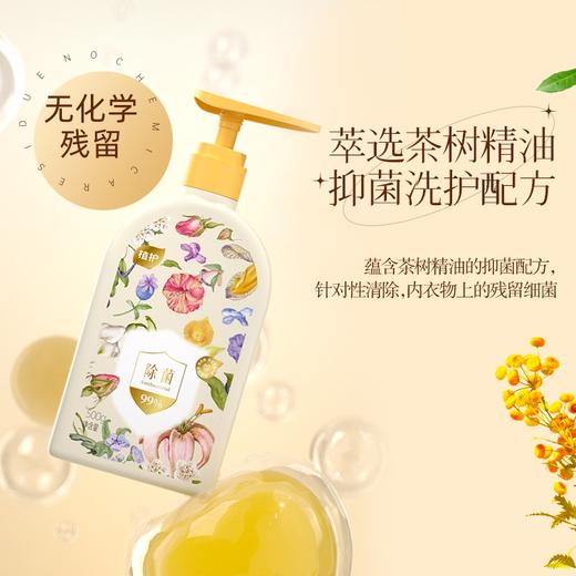 植护 内衣内裤除菌洗衣液500g/瓶 除螨抑菌洗内裤男女士内衣洗衣液专用 商品图2