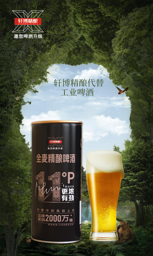 轩博黄金版 11度全麦精酿啤酒 880ml*6   聚会畅饮【臻选好酒】 商品图1