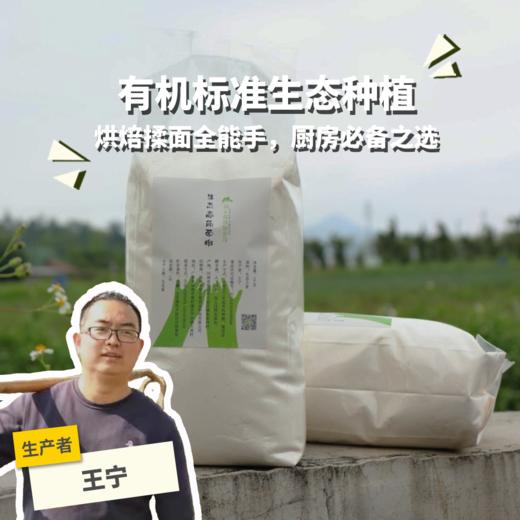 生态高筋面粉 | 合作生产* Eco-High steel flour | Coproduction 商品图0