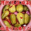 【非遗传承❗️古法传统泡佛手瓜】优选食材，酸辣不甜，清脆爽口，经典川味！老坛泡菜土坛脆嫩爽口四川下饭菜开胃菜-d 商品缩略图0