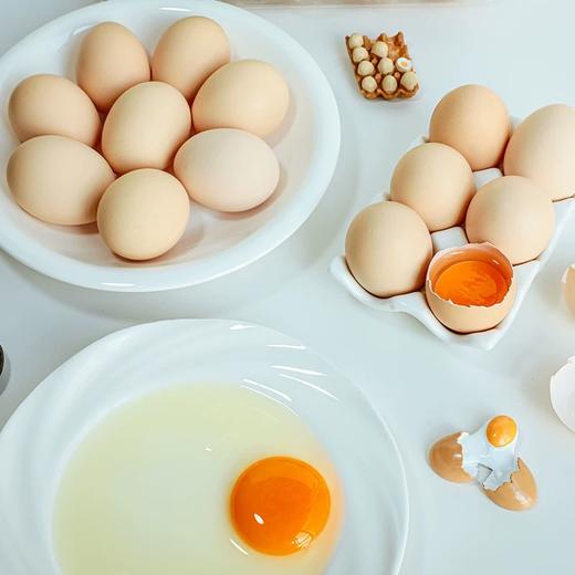 云南一座村柠檬蛋40枚/盒 商品图0