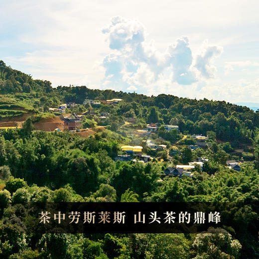 【新品上新】【掌柜私藏老班章】2015年头春勐海普洱茶生茶超大古树‘茶中劳斯莱斯’山头茶的顶峰 357克/饼茶  拍5发6拍20发25 商品图9
