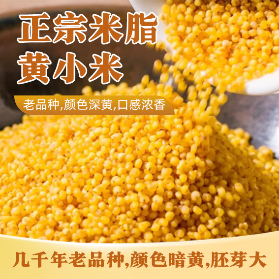 2025年新米上市延黄珍谷陕北米脂黄小米山地种植口感醇香老品种