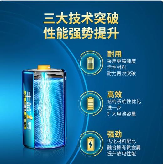 【JL】丰蓝1号 R20P D型电池 商品图1