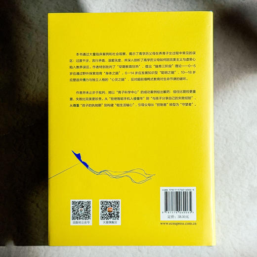 高学历父母的教育病 成田奈绪子 家庭教育 专业育儿智慧 商品图2