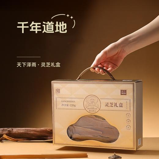 【中科院研究品种 太空S3号赤芝菌株 】霍山赤灵芝片 地理标志认证 核心产区礼盒 自用送礼倍有面  商品图0