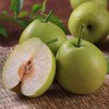 蜂蜜梨 约1000g /份 商品缩略图1