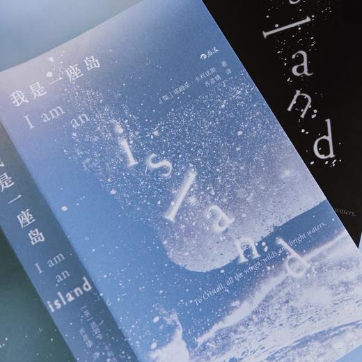 我是一座岛 逃离城市寻找自我 随笔散文回忆录 后浪正版 商品图2