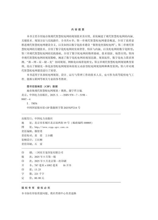 地市级现代智慧配电网规划 商品图3