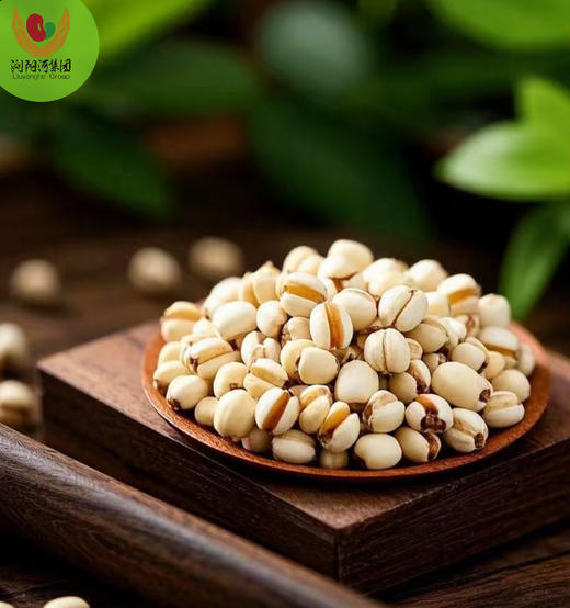 神洲杂粮 罐装薏米340g*2罐 商品图3