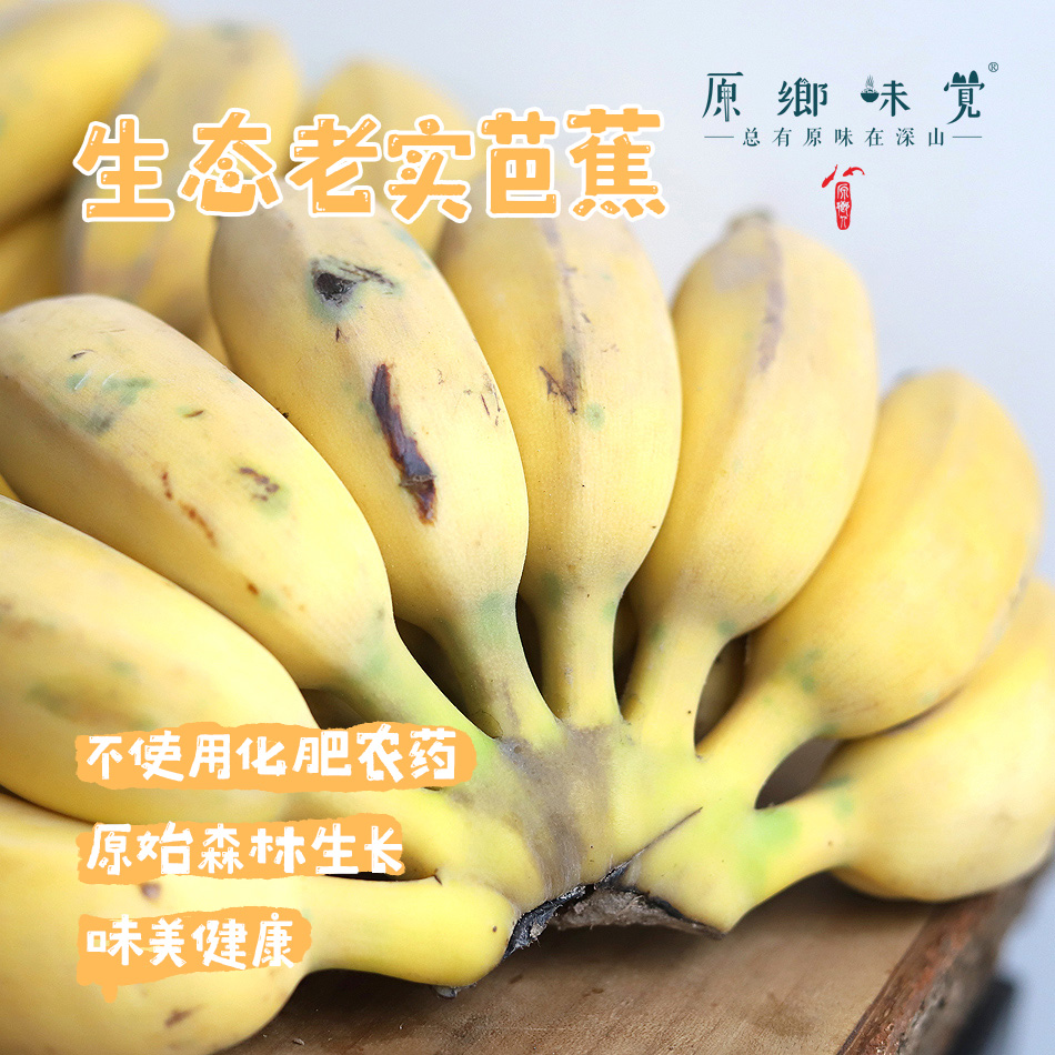 生态老实芭蕉（又名粉蕉）/香蕉（基地直发-顺丰包邮） | 2.8斤，4.8斤，来自云南玉溪，生产者：张扬【合作生产，公平贸易】
