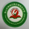 通版佛山市禅城区南庄镇南庄中学包边校徽姓名贴章可缝烫现货发51 商品缩略图0