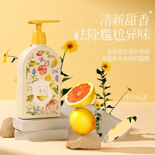 植护 内衣内裤除菌洗衣液500g/瓶 除螨抑菌洗内裤男女士内衣洗衣液专用 商品图3