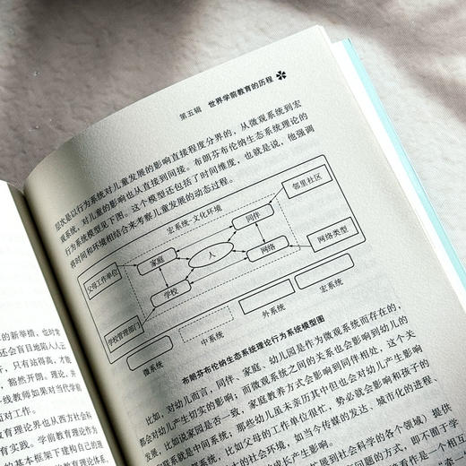 幼儿教师专业成长 幼儿教师培训用书 吴玲 葛金国 大夏书系 商品图13