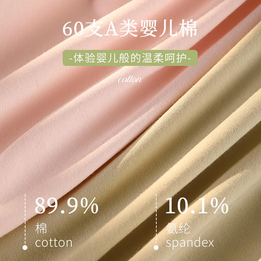 60支纯棉大码内裤女高腰收腹透气7A原棉抗菌 859# 商品图7