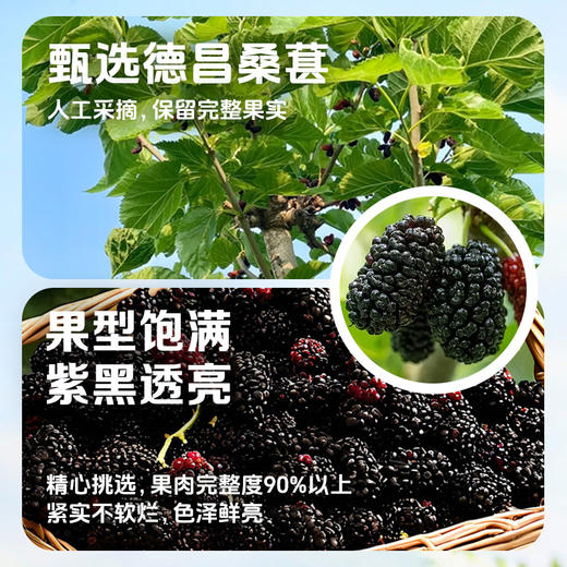 德和 桑葚大大水果罐头300g/罐  #润 商品图3