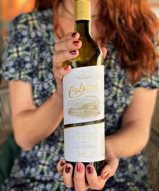 【Colomé】佳乐美极致庄园特浓情 阿根廷原生态葡萄品种特浓情葡萄  阿根廷萨尔塔产区 1700米-2300米高海拔的葡萄园 750ml 年份随机发货 偏远地区不发货或联系客服 商品图3