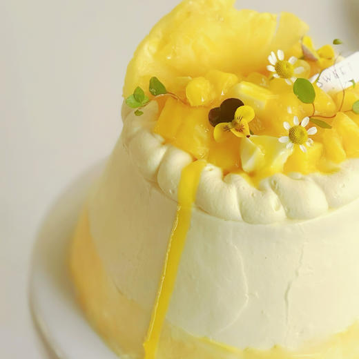 椰香凤梨 商品图3