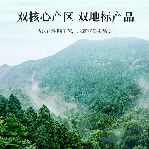 云顶陈贡小青柑(商务装)60g 商品图7