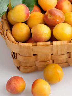  新疆小紅杏，一口流“蜜”。