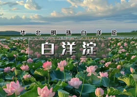 1日｜白洋淀｜荷花仙境の十里环园路-百顷荷花塘-千丈赏花桥-万米船航道
