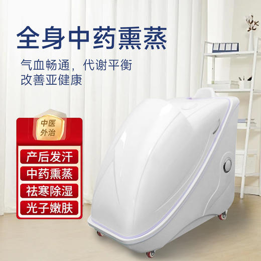 全身熏蒸 商品图0