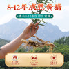【买2送1，买3送2】李时珍·泰山黑金黄精 8-12年的足龄黄精 九蒸九晒非遗工艺制作 富含黄精多糖、皂苷类成分、生物碱、黄酮 密封包装 锁鲜保效 开袋即食 100g（16根）/罐 商品缩略图4