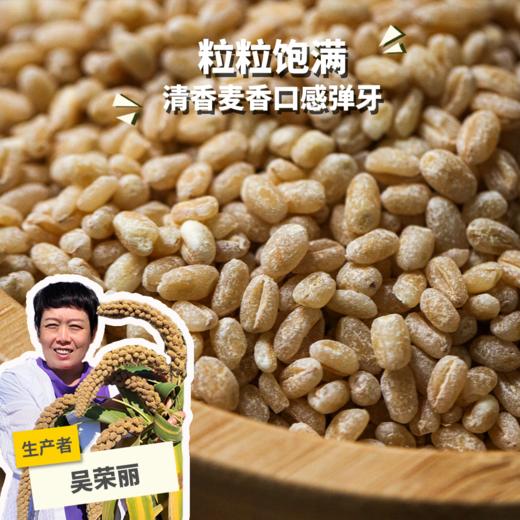 生态小麦仁 | 合作生产 *Eco sour beans | Partner Production 商品图0