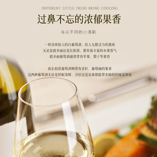 【连续6年入选全球top50葡萄园】露颂（LECURSON）卡萨珍藏长相思葡萄酒 智利卡萨布兰谷 13.5%vol 商品图6