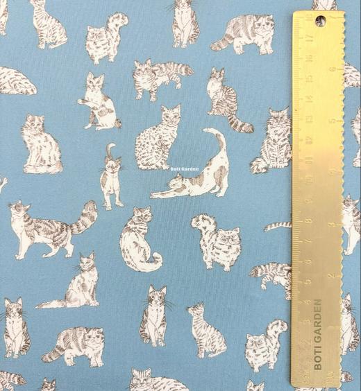 LT280C 动物系列胶囊限定 MEOW 喵星日常 蓝色 猫咪 邮费到付 269元/米 商品图1