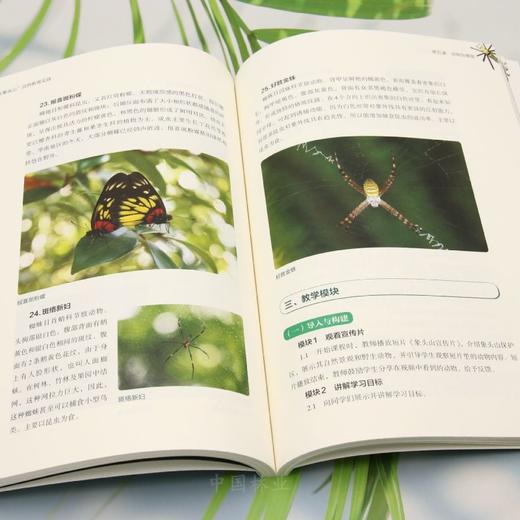 “家在象头山”自然教育实践（广东象头山国家级自然保护区自然教育丛书） &3084 商品图3