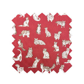 LT280B 动物系列胶囊限定 MEOW 喵星日常 红色 猫咪 269元/米