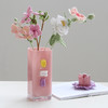 厂家直销创意轻奢马卡龙色系方缸玻璃花瓶居家高级感玄关客厅艺术 商品缩略图5