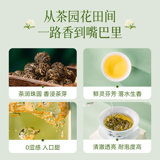 澜沧古茶2024年茉莉花茶龙珠双罐礼盒500g（250g*2） 商品图4