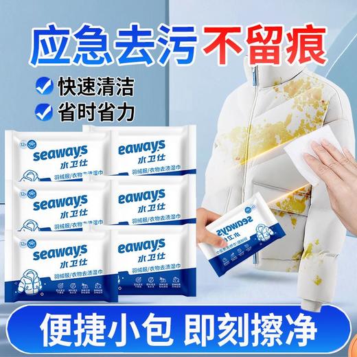 水卫仕羽绒服清洁湿巾12片免手洗不伤衣可爱小包湿巾随身携带去污神器效期27年1月 商品图4