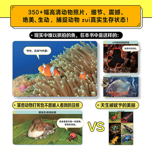 《谢耳朵漫画·动物大爆炸》全5册   8岁+  18大主题、170+种动物、1000+科普知识  看起来不可思议却真实存在的动物科普 一边哈哈大笑，一边猛涨知识，让孩子爱上科普！ 商品图6